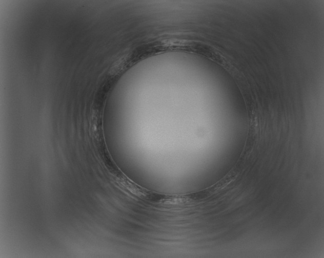 X0000053000567200507080958