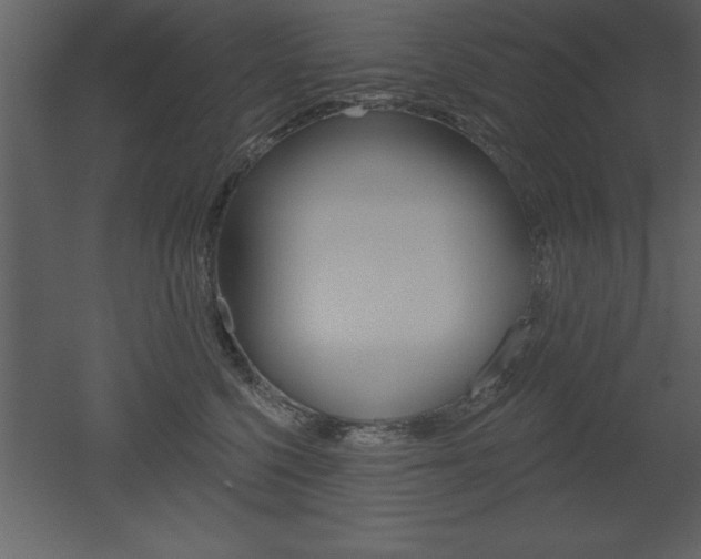 X0000053000568200507080958