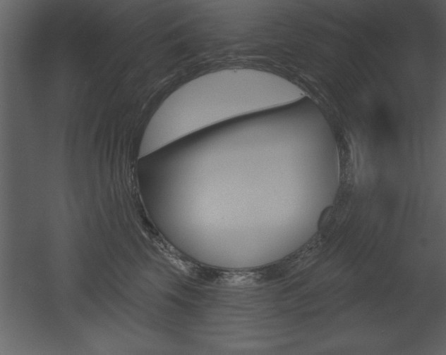 X0000053000569200507080958