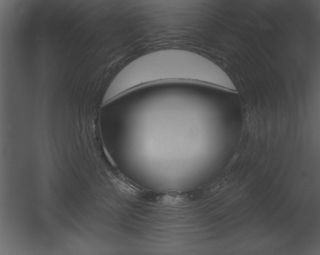 X0000053000570200507080958