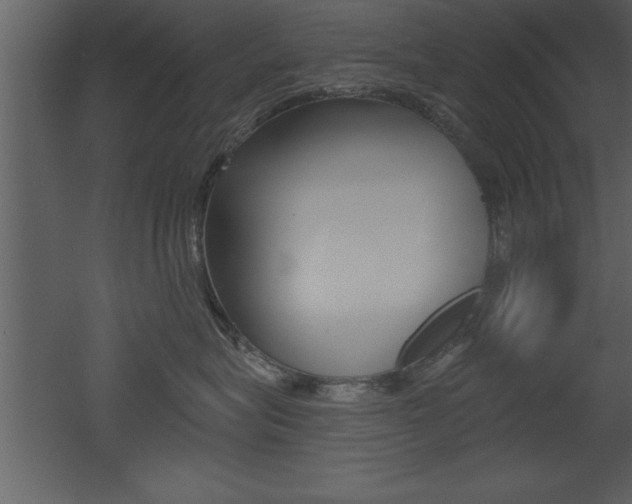 X0000053000575200507080958