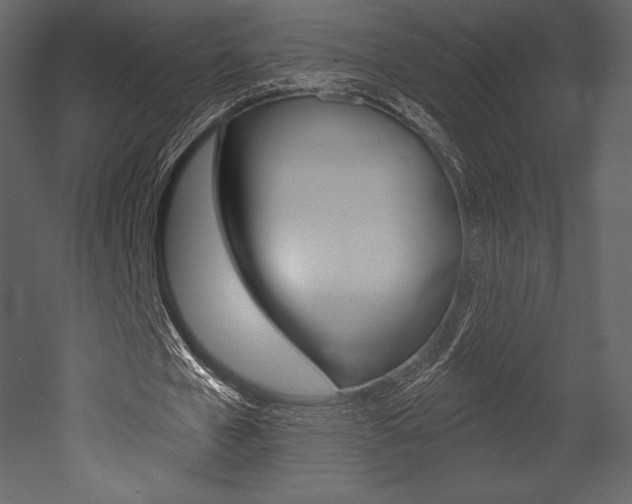 X0000053000577200507080957
