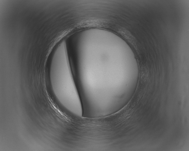 X0000053000578200507080957