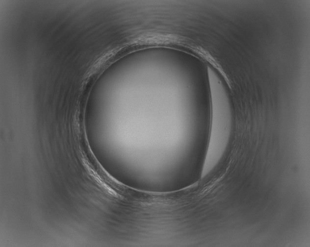 X0000053000581200507080957