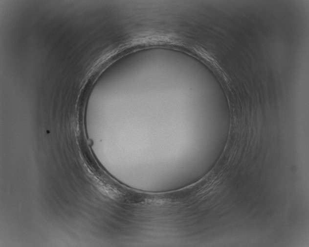 X0000053000582200507080957