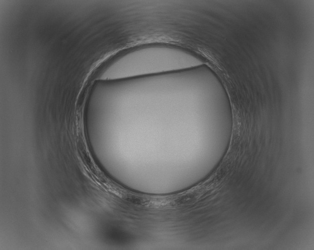X0000053000583200507080957
