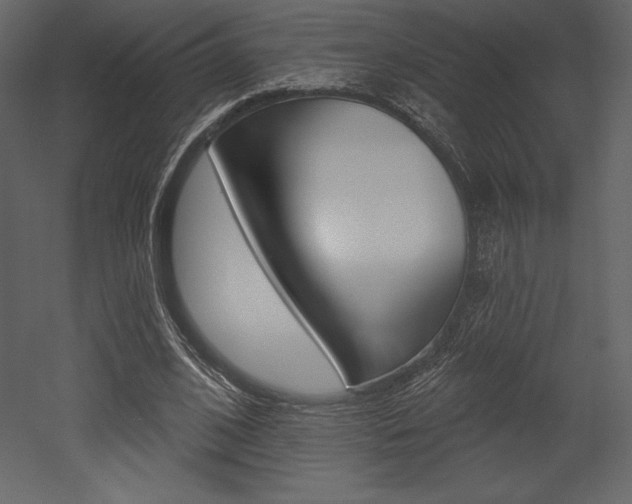 X0000053000584200507080957