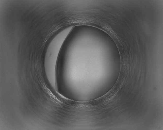X0000053000585200507080957
