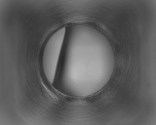 X0000053000586200507080957