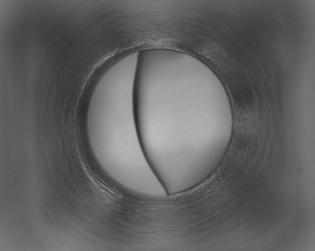 X0000053000587200507080957