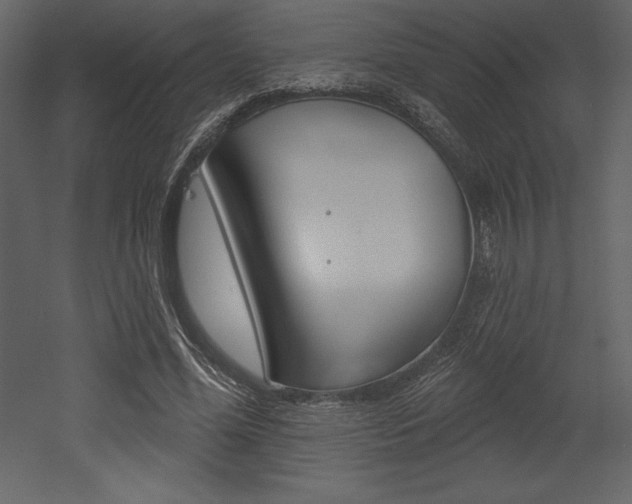 X0000053000588200507080957