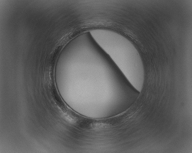 X0000053000590200507080957