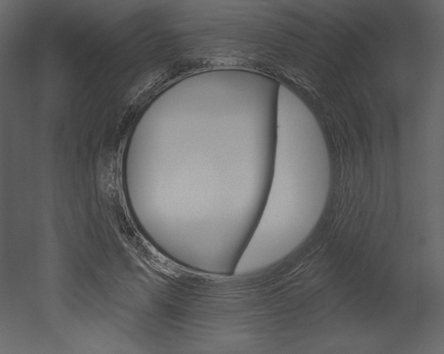 X0000053000591200507080957