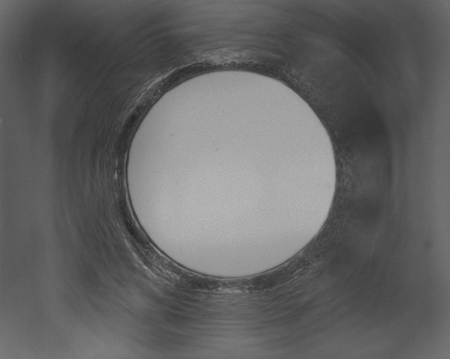 X0000053000592200507080957