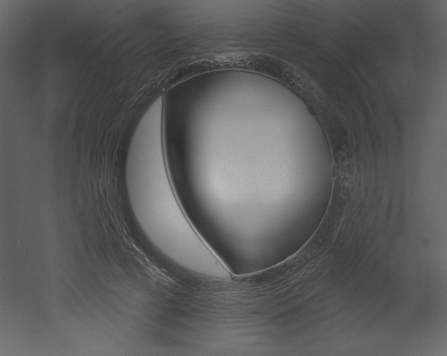 X0000053000593200507080957