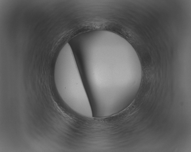 X0000053000594200507080957