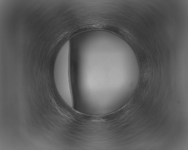 X0000053000595200507080957