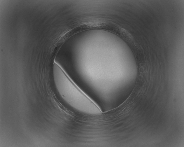 X0000053000596200507080957