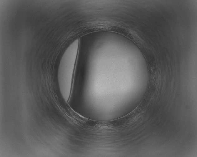 X0000053000597200507080957