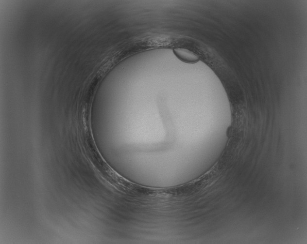 X0000053000598200507080957