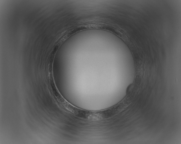 X0000053000599200507080957
