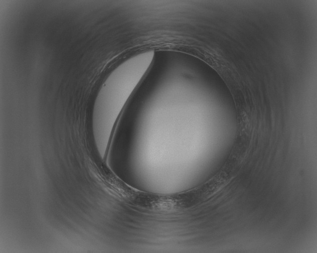 X0000053000600200507080957