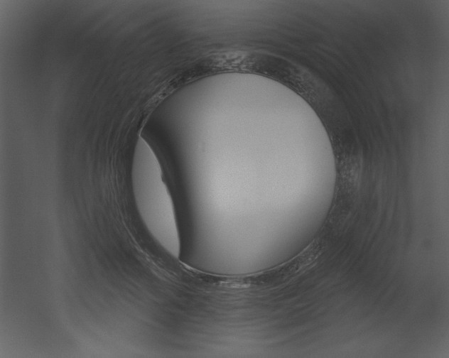 X0000053000602200507080957