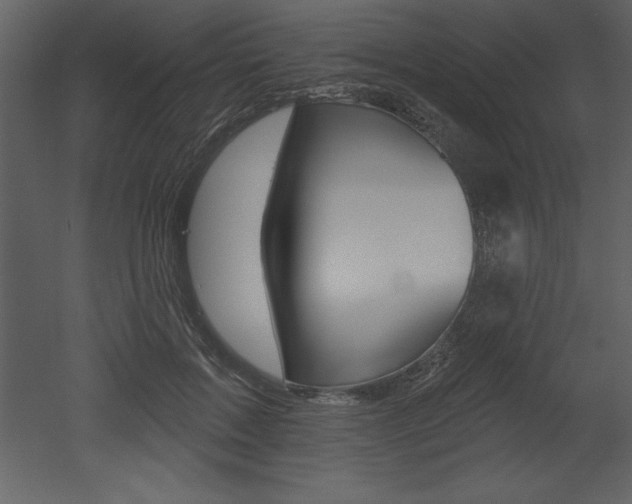 X0000053000603200507080957