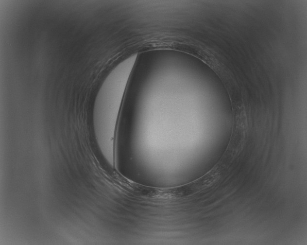 X0000053000604200507080957