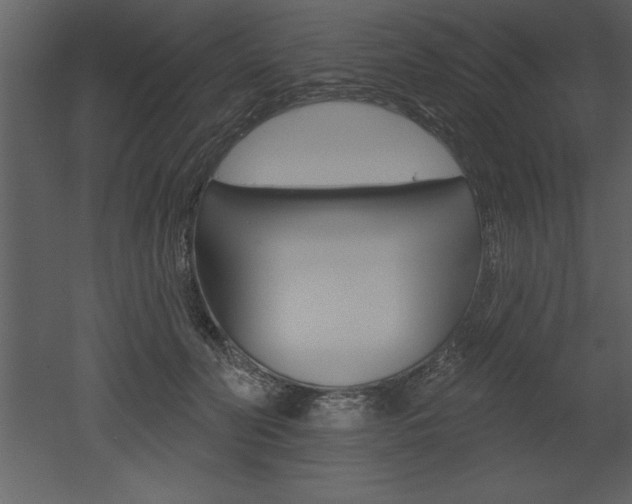 X0000053000606200507080957