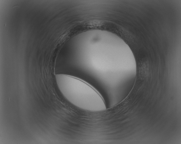 X0000053000608200507080957