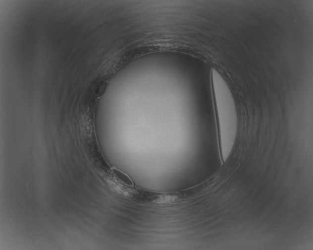 X0000053000609200507080957