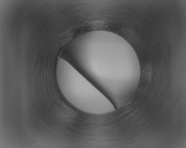 X0000053000610200507080957