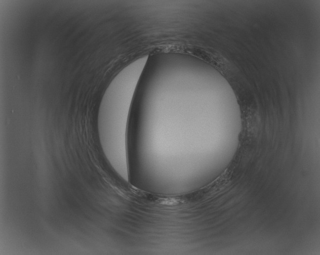 X0000053000611200507080957