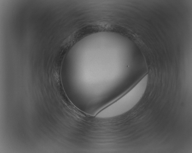 X0000053000613200507080957