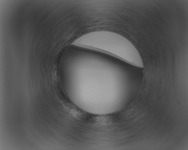 X0000053000615200507080957