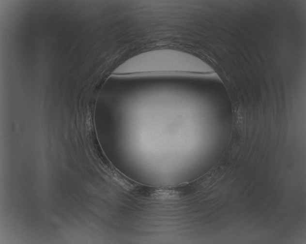 X0000053000617200507080957
