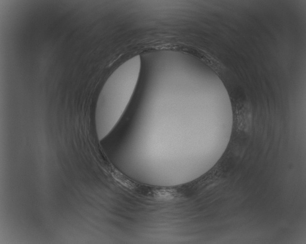 X0000053000618200507080957
