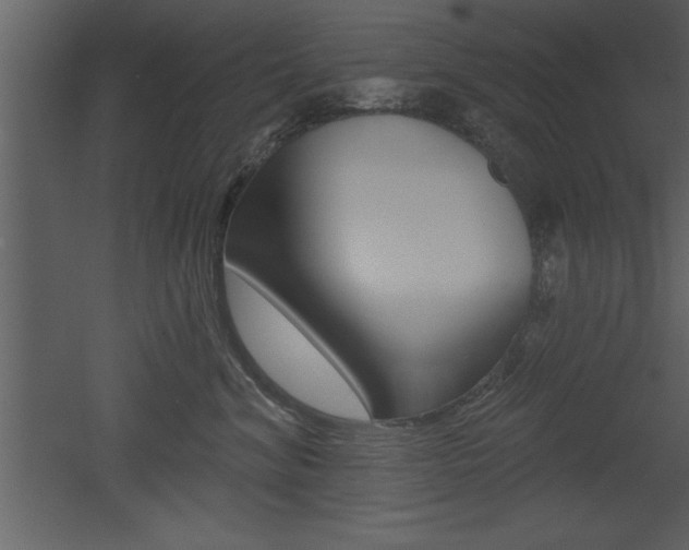 X0000053000620200507080957