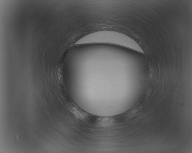 X0000053000621200507080957