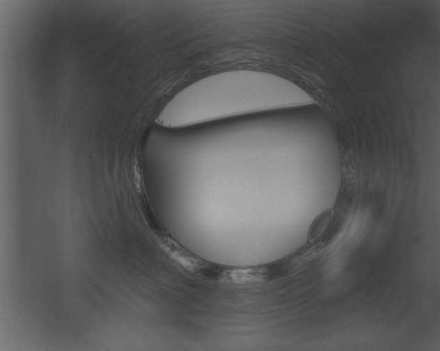 X0000053000622200507080957