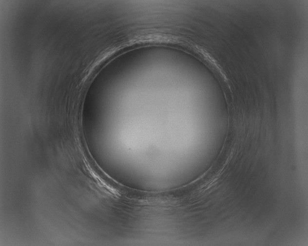 X0000053000625200507080956