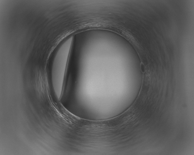X0000053000626200507080956