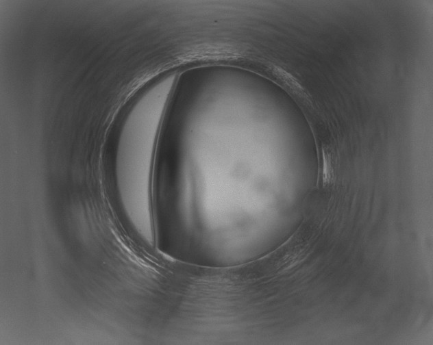 X0000053000627200507080956