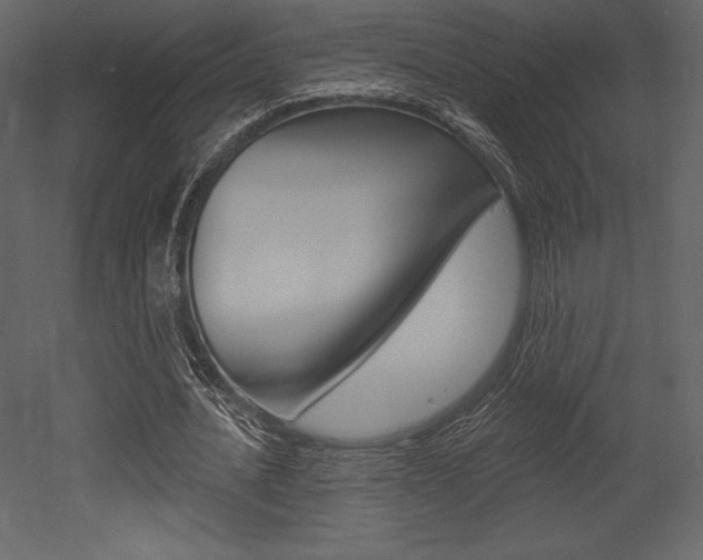 X0000053000628200507080956