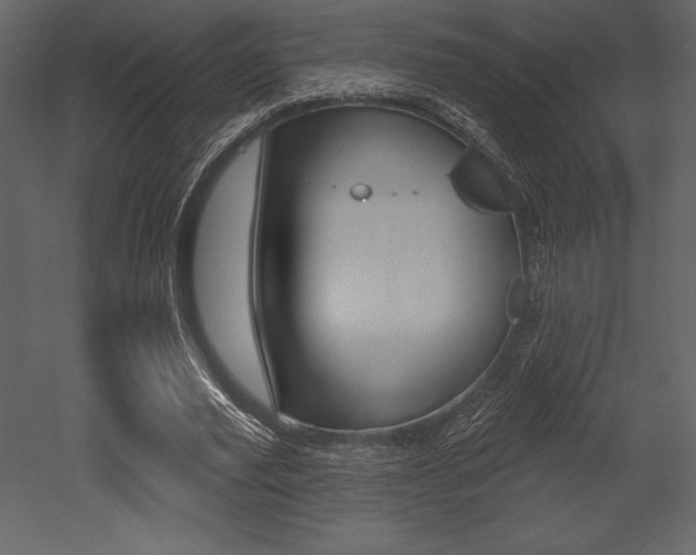 X0000053000629200507080956