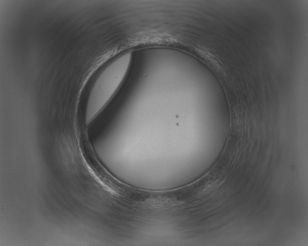 X0000053000630200507080956