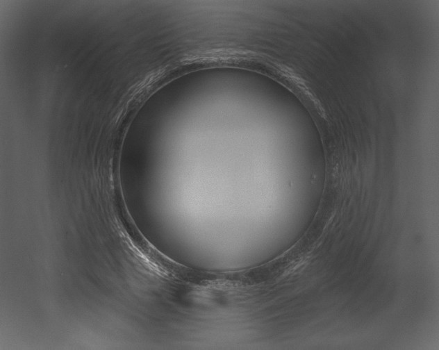 X0000053000633200507080956