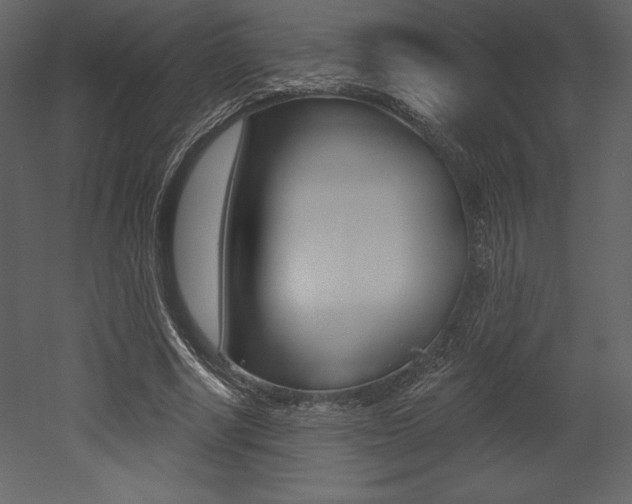 X0000053000634200507080956