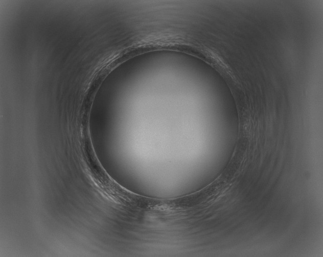 X0000053000635200507080956